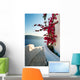 Santorini Wall Mural