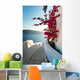 Santorini Wall Mural