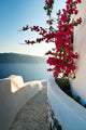 Santorini Wall Mural