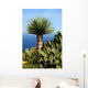 Green Island La Palma Wall Decal