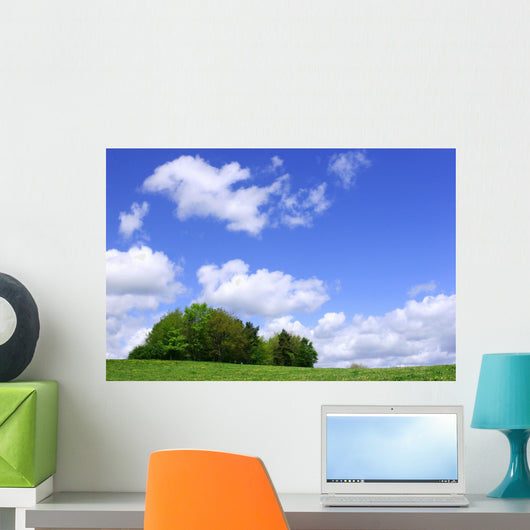 a clump of trees Wall Mural