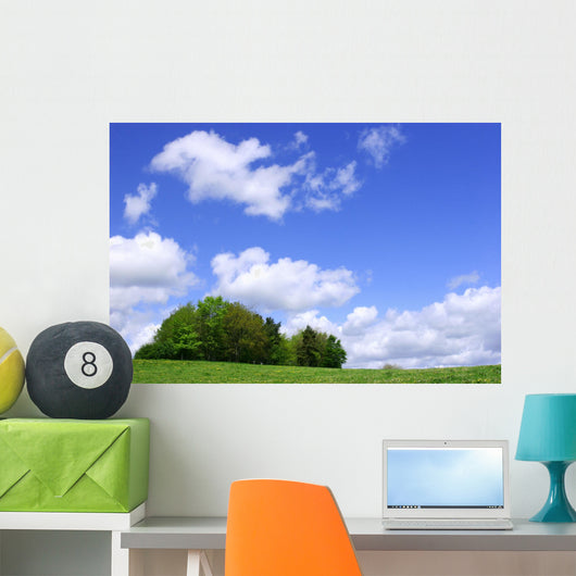a clump of trees Wall Mural