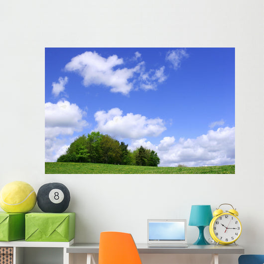 a clump of trees Wall Mural