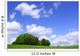 a clump of trees Wall Mural