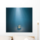 Underwater treasure Wall Mural
