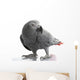 African Grey Parrot Wall Decal