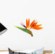 Bird of Paradise Wall Decal