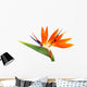 Bird of Paradise Wall Decal