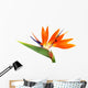 Bird of Paradise Wall Decal