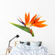 Bird of Paradise Wall Decal