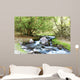 Creek Wall Mural