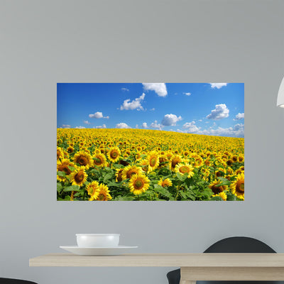 Sunflower Wall Mural shown on a wall