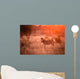 Zebra in the kruger national park Wall Mural