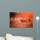 Zebra in the kruger national park Wall Mural