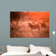 Zebra in the kruger national park Wall Mural