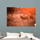Zebra in the kruger national park Wall Mural