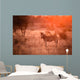 Zebra in the kruger national park Wall Mural