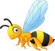 Bee cartoon flying Wall Decal
