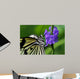Butterfly Wall Mural