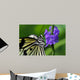 Butterfly Wall Mural