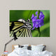 Butterfly Wall Mural