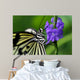 Butterfly Wall Mural