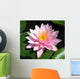 Perfect Pink Water Lily Wall Mural
