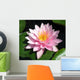 Perfect Pink Water Lily Wall Mural