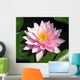 Perfect Pink Water Lily Wall Mural