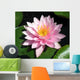 Perfect Pink Water Lily Wall Mural