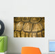 Abstract Tortoise Shell Wall Mural