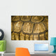 Abstract Tortoise Shell Wall Mural