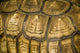 Abstract Tortoise Shell Wall Mural