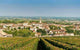Meursault Village Vintner Wall Decal