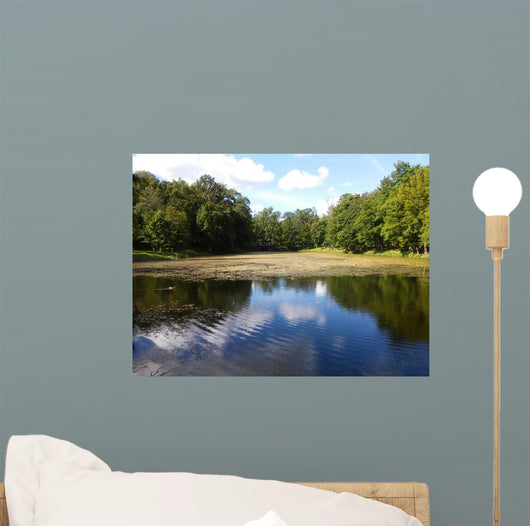Landscape of the Plunge's park Wall Mural