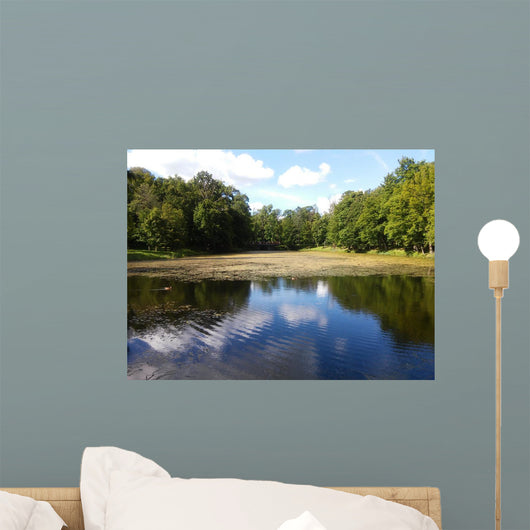 Landscape of the Plunge's park Wall Mural