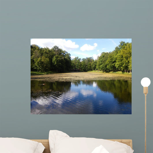 Landscape of the Plunge's park Wall Mural