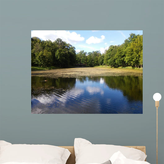 Landscape of the Plunge's park Wall Mural