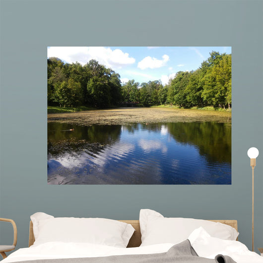 Landscape of the Plunge's park Wall Mural