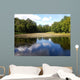 Landscape of the Plunge's park Wall Mural