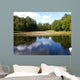 Landscape of the Plunge's park Wall Mural