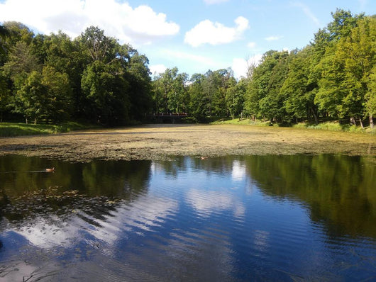 Landscape of the Plunge's park Wall Mural