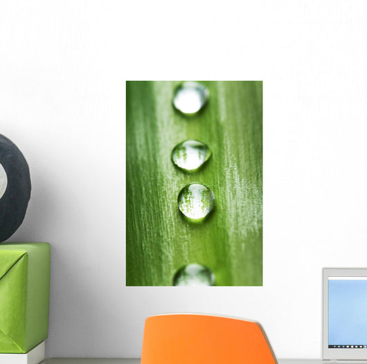 Zen concept Wall Mural
