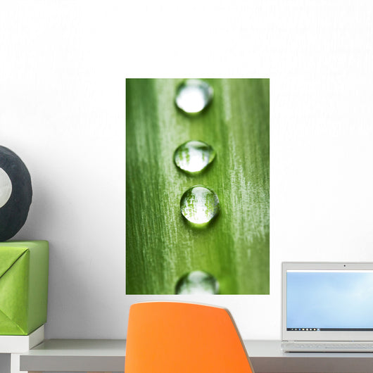 Zen concept Wall Mural