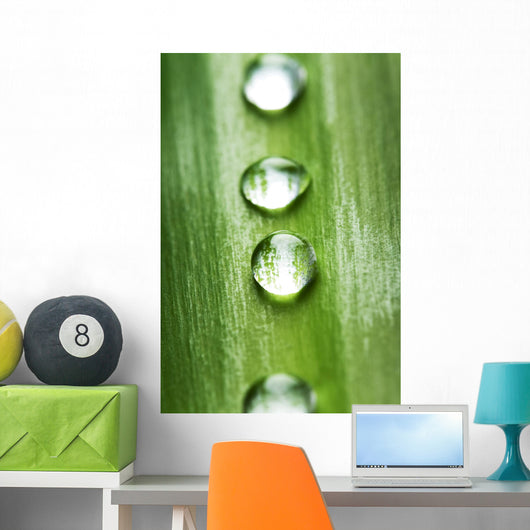 Zen concept Wall Mural