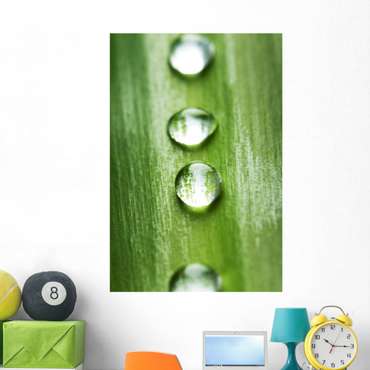 Zen concept Wall Mural