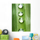 Zen concept Wall Mural