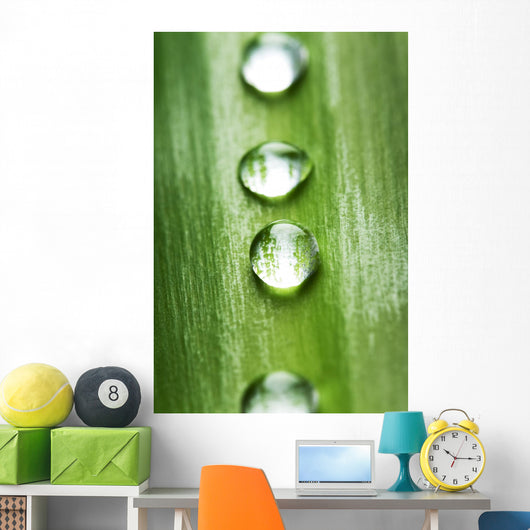 Zen concept Wall Mural