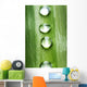 Zen concept Wall Mural