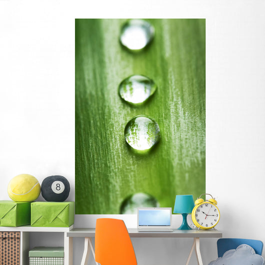 Zen concept Wall Mural